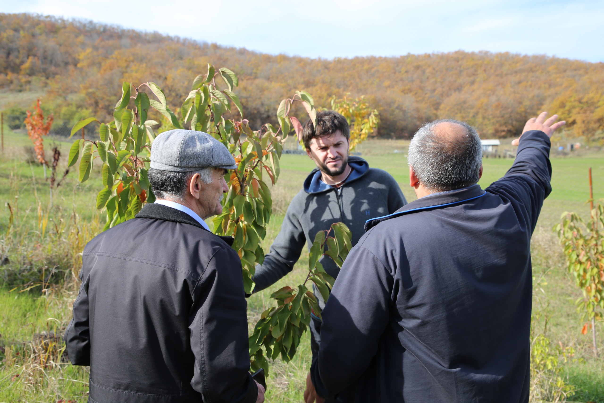 Сотрудники Минэкономразвития проверили ход реализации программы развития горных территорий в Казбековском районе